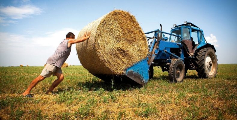Як отримати фінансову допомогу від держави?