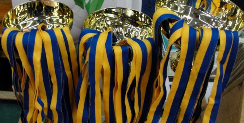 Фінішував чемпіонат Чернігівської області з футзалу