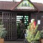 За лічені дні до Нового року — найгарячіша пора для лісівників