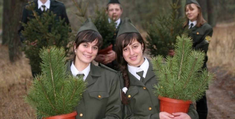 Новорічні свята — без шкоди для лісу