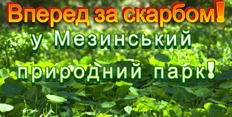 На Чернігівщині росте рослина, яка може вказати шлях до скарбу