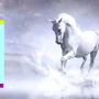 Про кохання двох сердець — у творчості і не тільки…