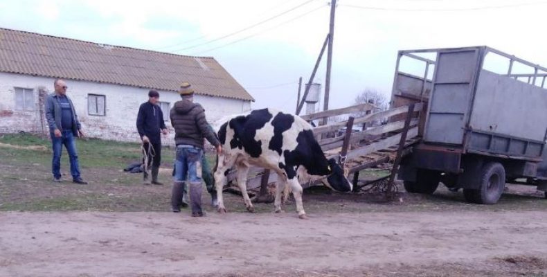 Наслідки минулорічних дій рейдерів — тварини помирають у муках!