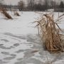 Задухи на водоймах Чернігівщини не спостерігається — екологи