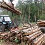 Лісівники Чернігівщини здатні повністю забезпечити область дровами