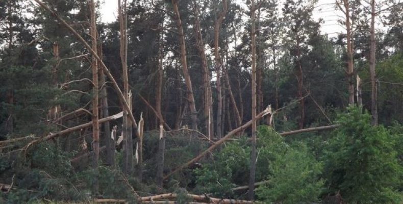 З відмороженими руками, в зледенілому одязі та мокрому взутті захищали Чернігів