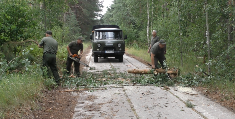Лісівники вивільняли дороги від звалених буревієм дерев