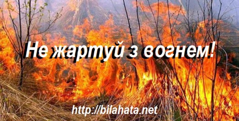 Екологічна інспекція нагадала про протипожежні заходи безпеки