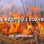Україна посіла перше місце в Європі по пожежах на болотах та угіддях