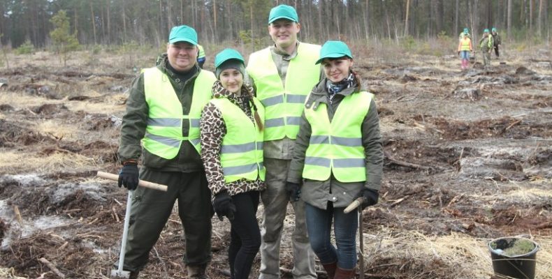 На Чернігівщині висадили деревця для нового лісу! Відео