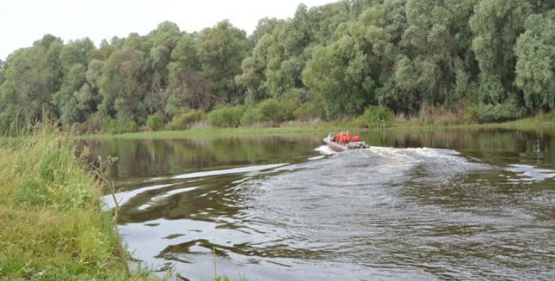 Ліси на кордоні — під прицілом