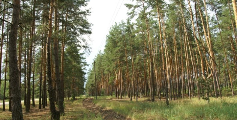 Остерські військові вогнеборці завжди у повній бойовій готовності