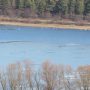 На найбільшому озері Мезинського природного парку з`явилися лебеді