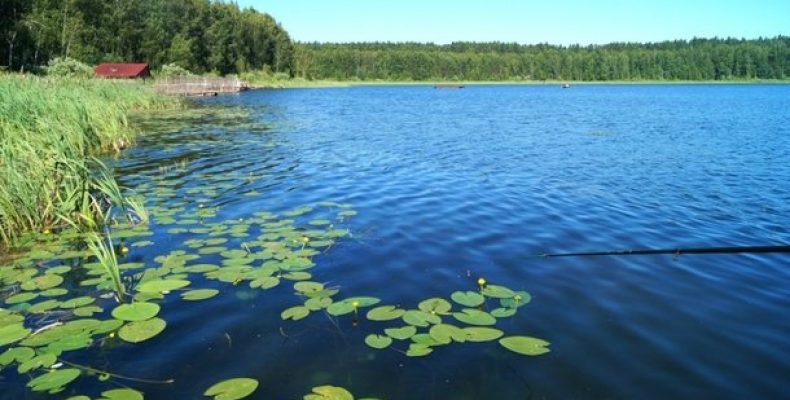 Жорстоко покарав рибалок — одного забив до смерті