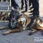 Вулиці Чернігова стануть безпечнішими