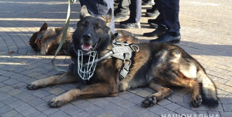 Вулиці Чернігова стануть безпечнішими