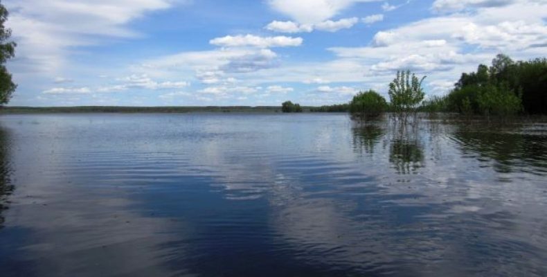 Фахівець спростовує міфи про повінь на Десні