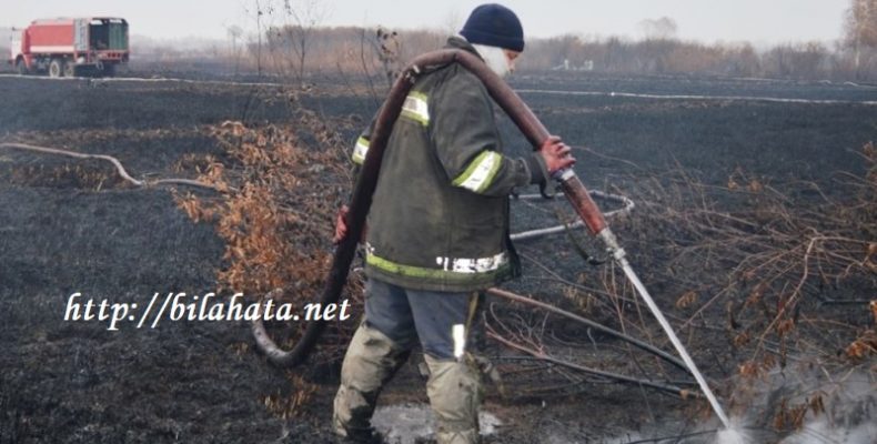 У зоні відчуження тривають пожежі: горять ліси, трава, покинуті села