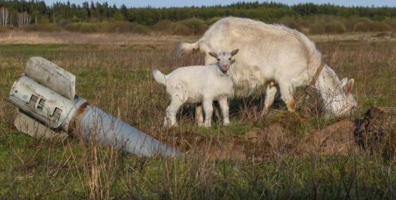 По Україні за час війни з росією запущено з білорусі 633 ракети