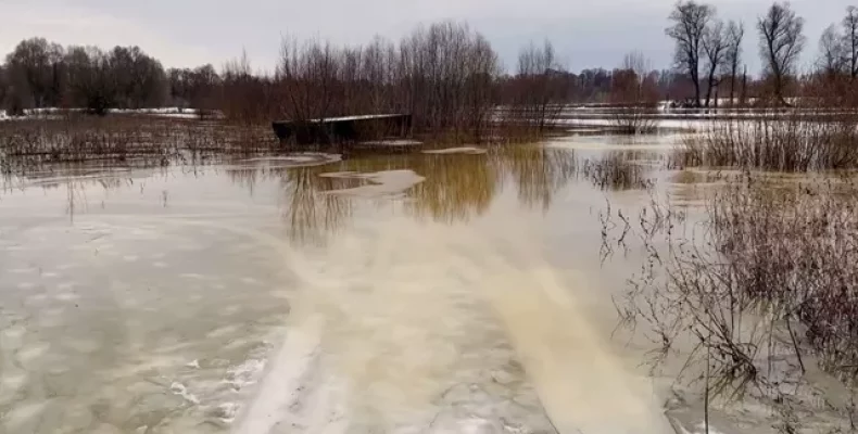 Річки долають береги, затоплюють будинки та автошляхи