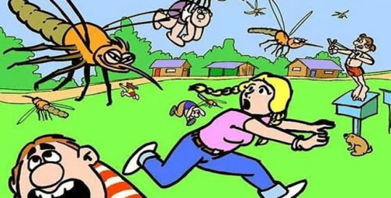 Рослини, які дозволяють позбавитися комарів і мошок