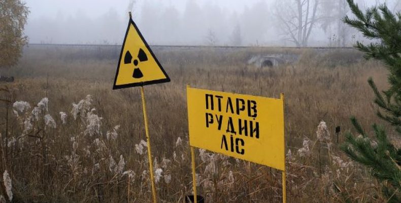 Усі радіаційні ліси б’ють ворога на нашій українській землі