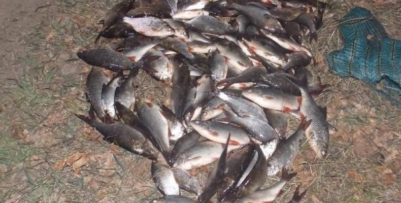 Незаконною риболовлею завдав шкоди на 12 тис. гривень