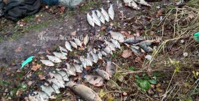 15-ма сітками виловлювали рибу браконьєри на Чернігівщині
