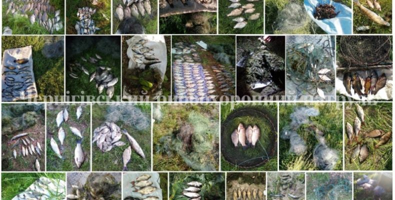 285 кг незаконно добутої риби вилучено на Чернігівщині