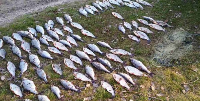 Завдав збитків рибному господарству України на 6 тисяч гривень