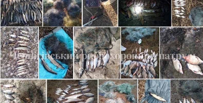 На Чернігівщині вилучили 136 кг незаконно добутої риби