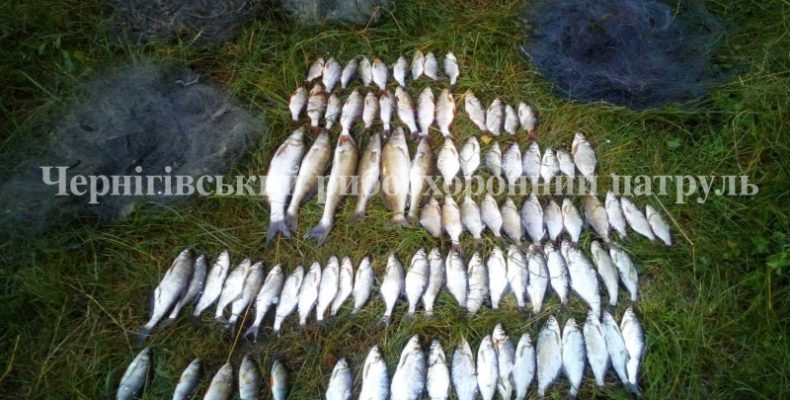 Браконьєр завдав збитків рибному господарству на 8 тис. грн