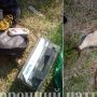 Понад 19 тис. грн збитків завдали «рибні» браконьєри