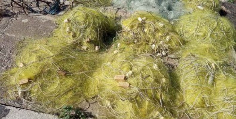 Браконьєри наловили риби на кримінал