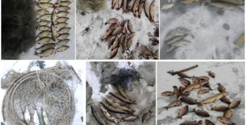 У браконьєрів вилучено 225 кг риби та 126 заборонених знарядь