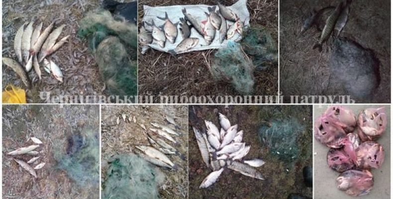 127 заборонених знарядь лову вилучено на Чернігівщині