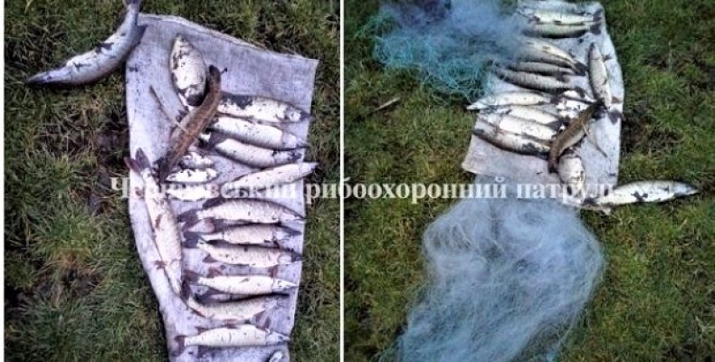 Порушника-рибалку оштрафували на 5 тисяч гривень