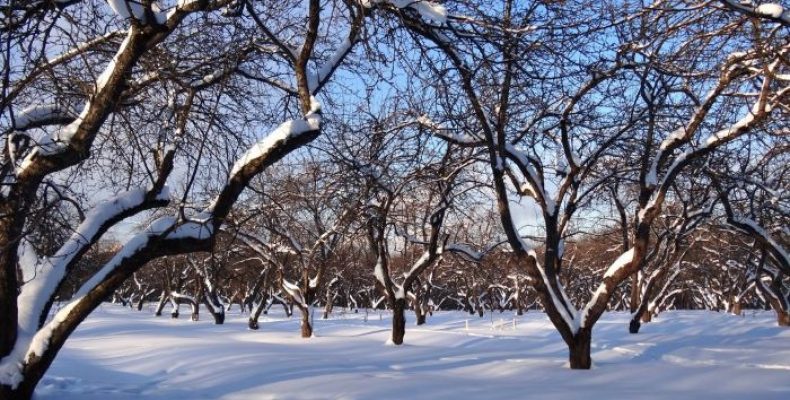 Держгеокадастр роздає землі новоутвореної громади