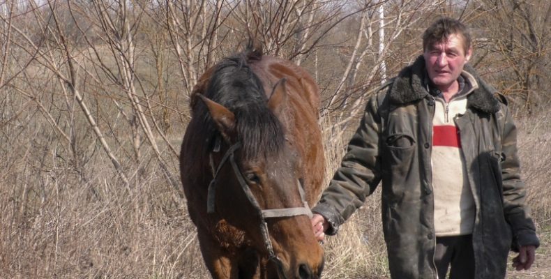 «Не поміняю Малиша ні на який трактор»