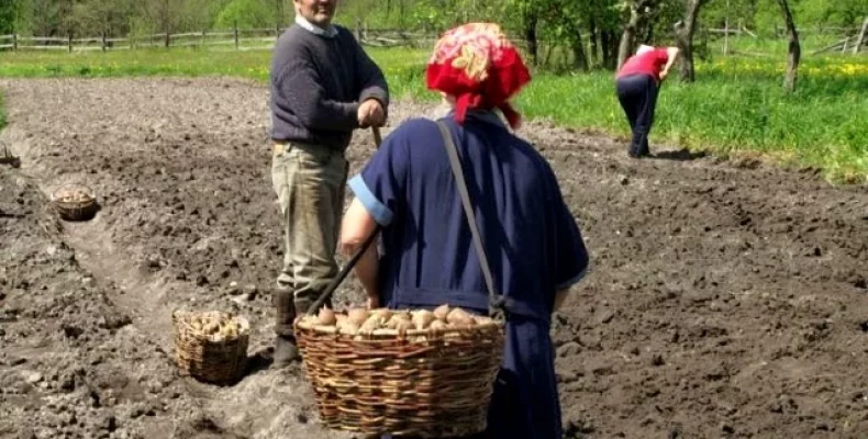 Хто з мешканців сіл Чернігівщини має право на пільги