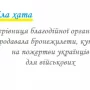 Безсовісна людина продавала гуманітарку для військових