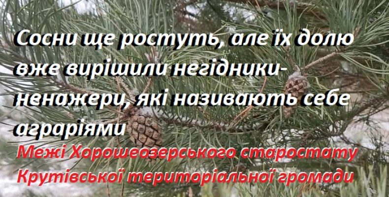 Береги колись судноплавної річки Остер безсовісно заорали