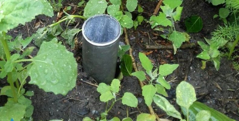 Від 40 зрізаних знаків на дорозі залишились лише «пеньки»