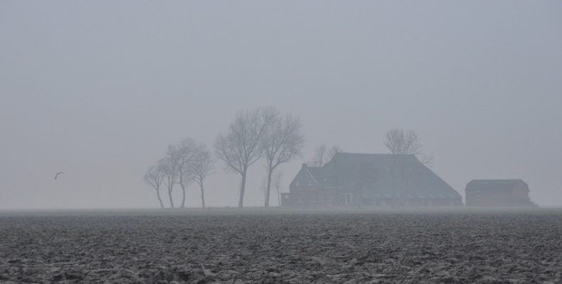 Чернігівські синоптики про погоду на 1-4 січня