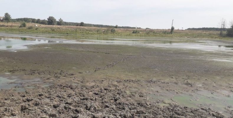 В єдиному озері майже повністю зникла вода