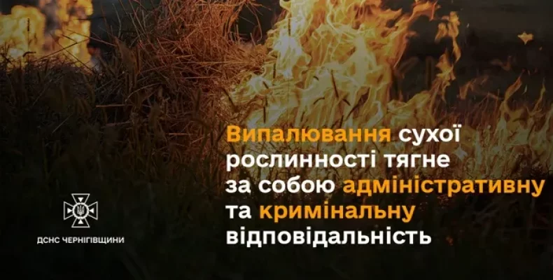 Понад 300 пожеж за тиждень ліквідували вогнеборці Чернігівщини