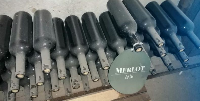 Чернігівщина: вино з самого серця півночі