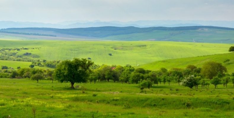 Очільник Держгеокадастру: землі резерву для громад розграбовані