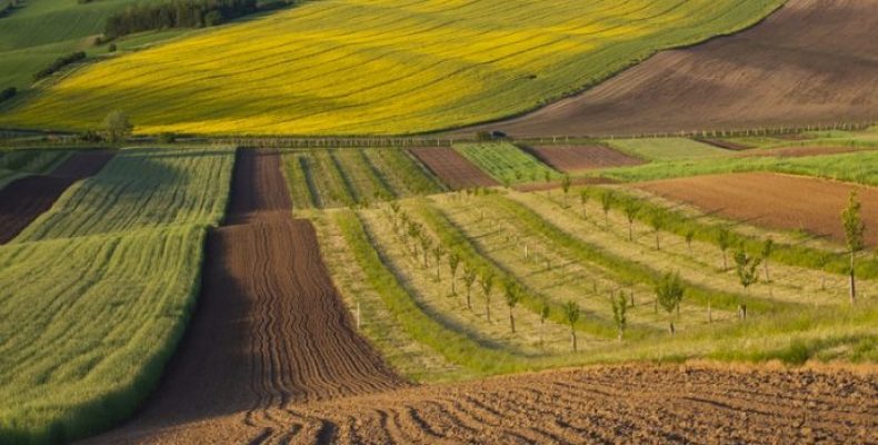 80% поправок до закону про ринок землі розглянули нардепи