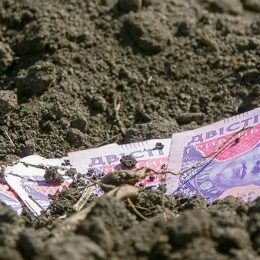 Чиновниця незаконно оформила землю на 4 млн грн